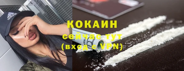 тгк Новозыбков