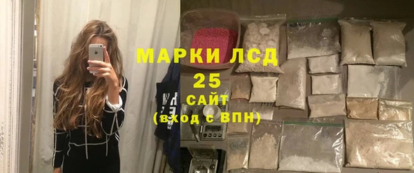 прущие грибы Новокубанск