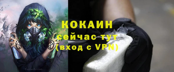 тгк Новозыбков