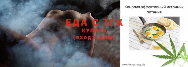 тгк Новозыбков