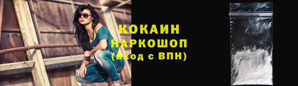тгк Новозыбков