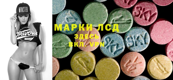 прущие грибы Новокубанск