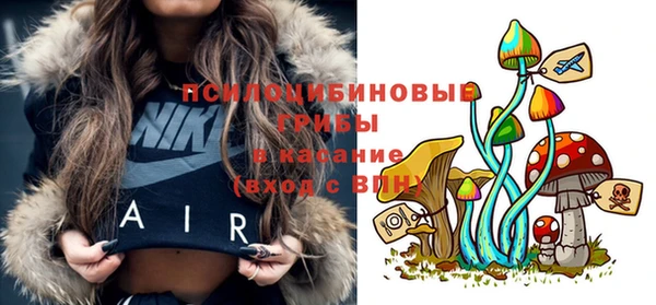 тгк Новозыбков
