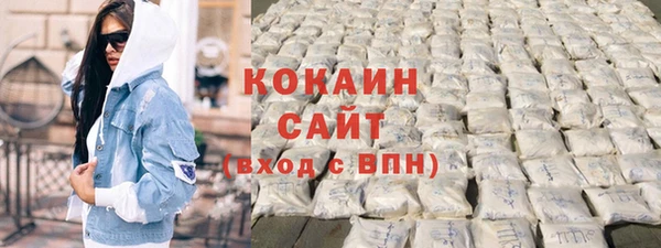 тгк Новозыбков