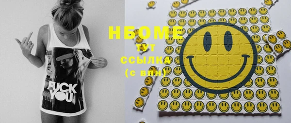 прущие грибы Новокубанск