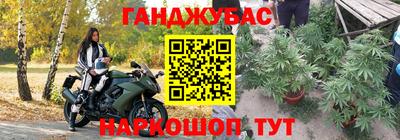 эйфоретик Славгород