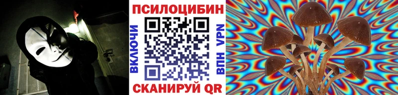 Галлюциногенные грибы GOLDEN TEACHER  купить наркотики сайты  mega ссылка  Темрюк 