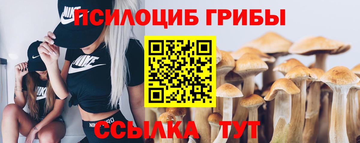 Темрюк  Псилоцибиновые грибы ЛСД  Псилоцибиновые грибы GOLDEN TEACHER  Вход с VPN 